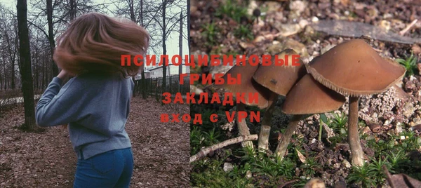 метадон Рославль