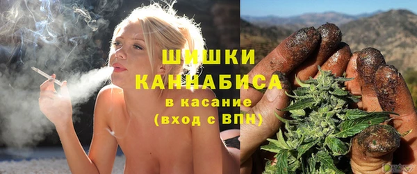 дмт Россошь