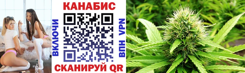 Купить где  Ярцево  Каннабис планчик 